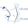 Circonférence cuisse et mollet